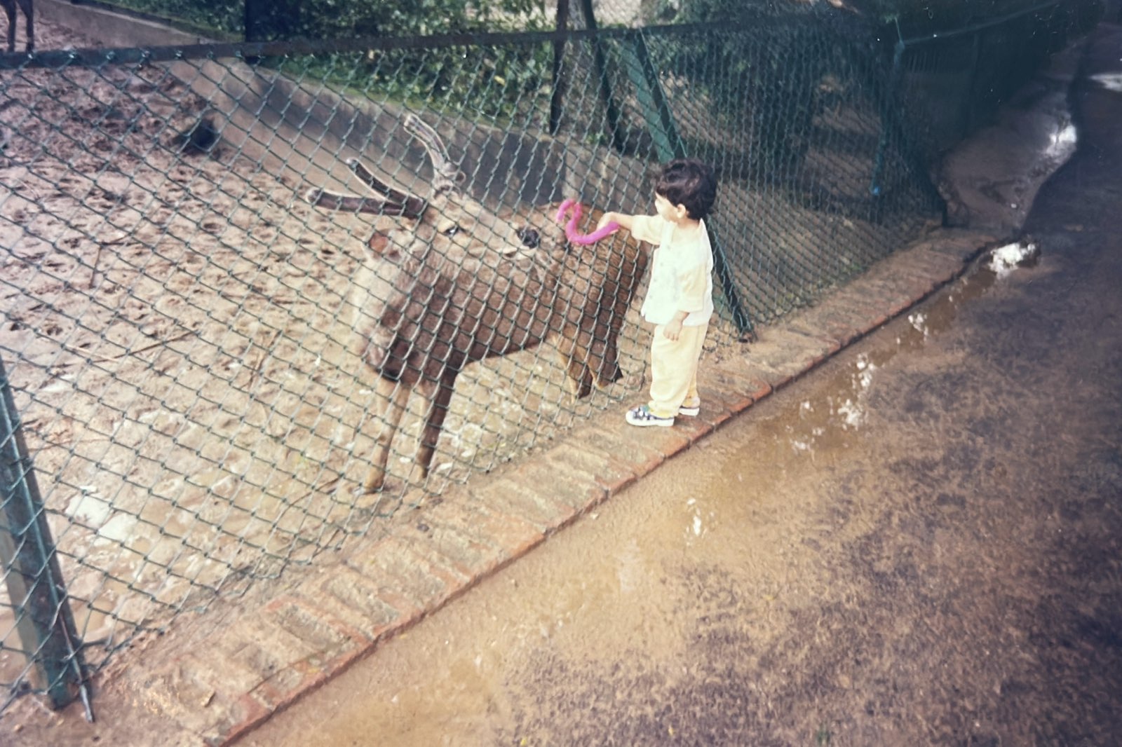 25 Years on This Planet