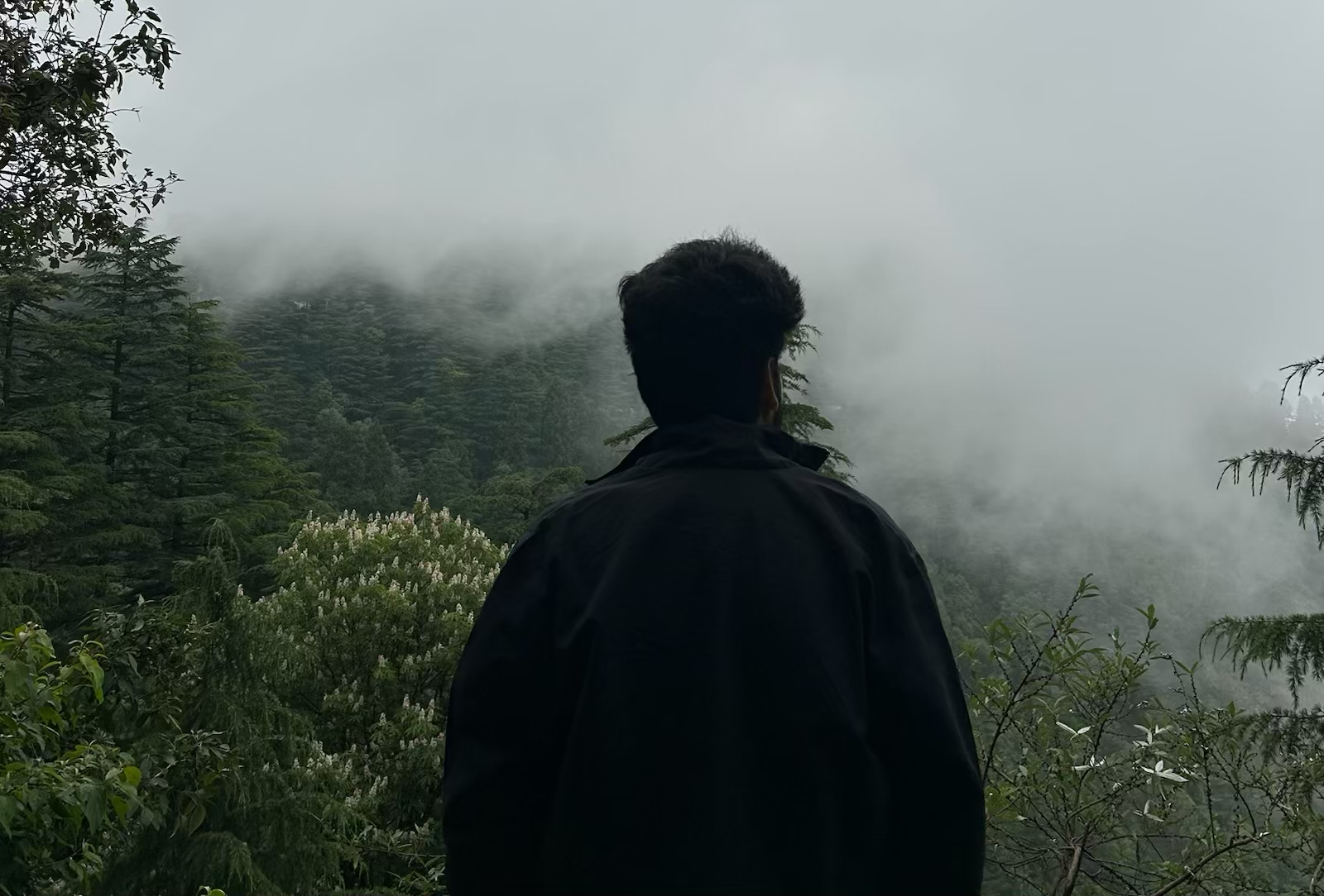 The Call of the Mountains